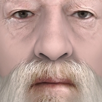 Dumbledore from Harry Potter bust for full color 3D printing - Thumbnail 8