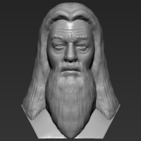 Dumbledore from Harry Potter bust for full color 3D printing - Thumbnail 9