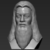 Dumbledore from Harry Potter bust for full color 3D printing - Thumbnail 10
