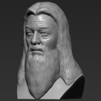 Dumbledore from Harry Potter bust for full color 3D printing - Thumbnail 11