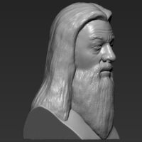 Dumbledore from Harry Potter bust for full color 3D printing - Thumbnail 13