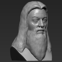 Dumbledore from Harry Potter bust for full color 3D printing - Thumbnail 14