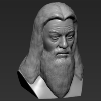 Dumbledore from Harry Potter bust for full color 3D printing - Thumbnail 16