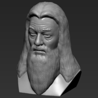 Dumbledore from Harry Potter bust for full color 3D printing - Thumbnail 17