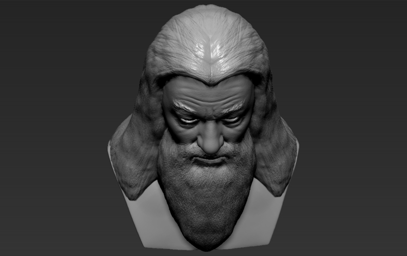 Dumbledore from Harry Potter bust for full color 3D printing 3D Print 283147