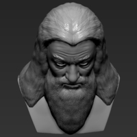 Dumbledore from Harry Potter bust for full color 3D printing - Thumbnail 18
