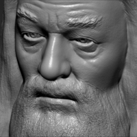 Dumbledore from Harry Potter bust for full color 3D printing - Thumbnail 19