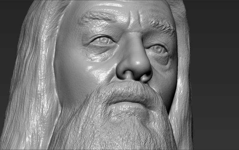 Dumbledore from Harry Potter bust for full color 3D printing 3D Print 283149