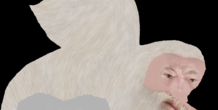 Image 283151