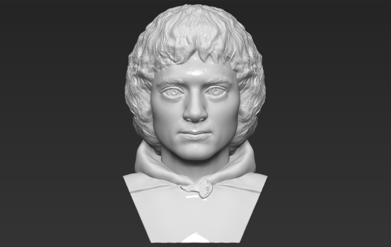 Frodo Baggins The Lord of the Rings bust 3D printing ready 3D Print 283152