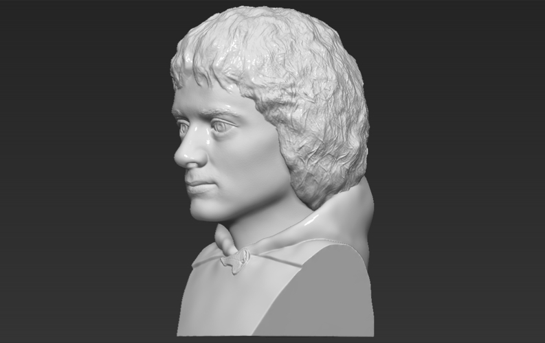 Frodo Baggins The Lord of the Rings bust 3D printing ready 3D Print 283154