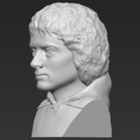Frodo Baggins The Lord of the Rings bust 3D printing ready - Thumbnail 3