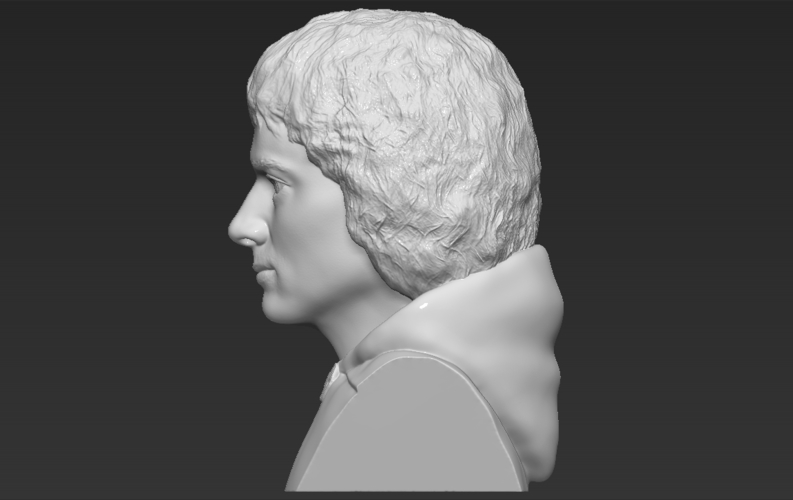 Frodo Baggins The Lord of the Rings bust 3D printing ready 3D Print 283155