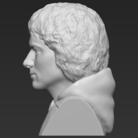 Frodo Baggins The Lord of the Rings bust 3D printing ready - Thumbnail 4