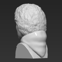 Frodo Baggins The Lord of the Rings bust 3D printing ready - Thumbnail 5