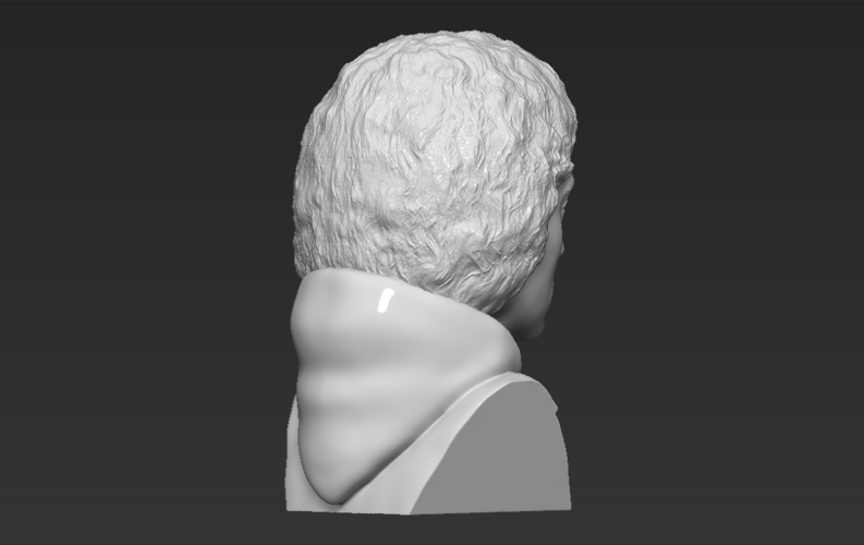 Frodo Baggins The Lord of the Rings bust 3D printing ready 3D Print 283158