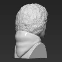 Frodo Baggins The Lord of the Rings bust 3D printing ready - Thumbnail 7