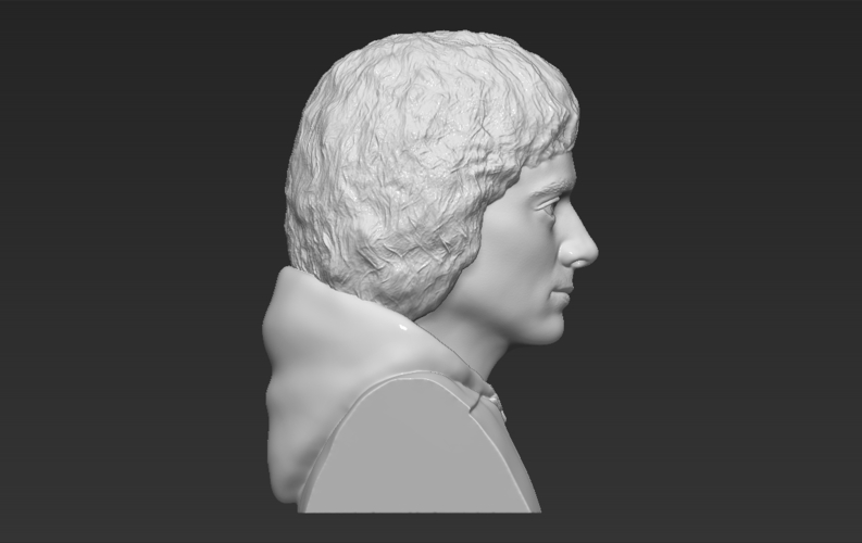 Frodo Baggins The Lord of the Rings bust 3D printing ready 3D Print 283159