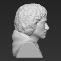 Frodo Baggins The Lord of the Rings bust 3D printing ready - Thumbnail 8