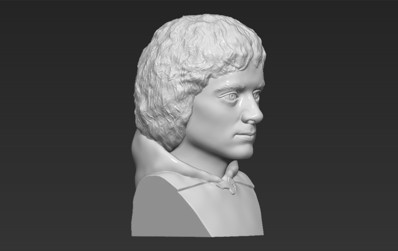 Frodo Baggins The Lord of the Rings bust 3D printing ready 3D Print 283160