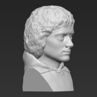 Frodo Baggins The Lord of the Rings bust 3D printing ready - Thumbnail 9