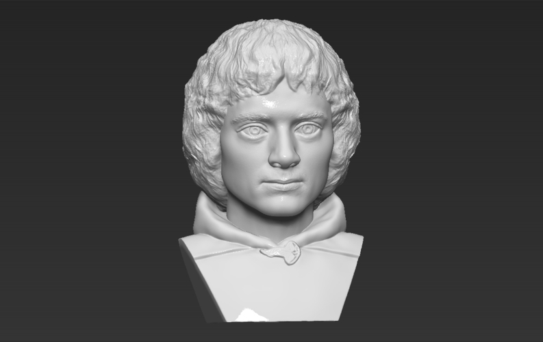 Frodo Baggins The Lord of the Rings bust 3D printing ready 3D Print 283162