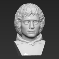 Frodo Baggins The Lord of the Rings bust 3D printing ready - Thumbnail 11