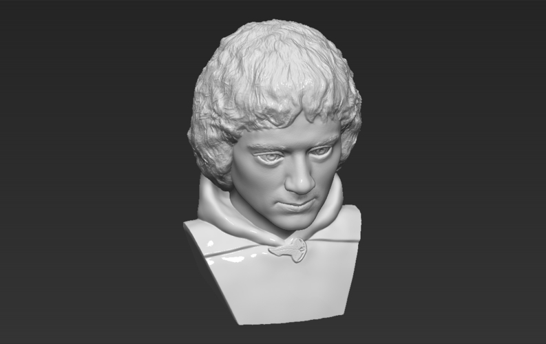 Frodo Baggins The Lord of the Rings bust 3D printing ready 3D Print 283163
