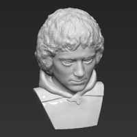 Frodo Baggins The Lord of the Rings bust 3D printing ready - Thumbnail 12