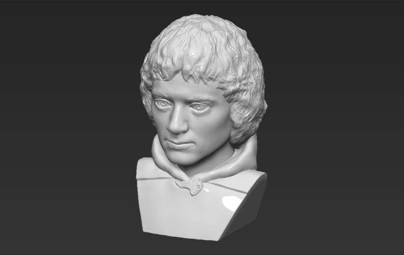 Frodo Baggins The Lord of the Rings bust 3D printing ready 3D Print 283164