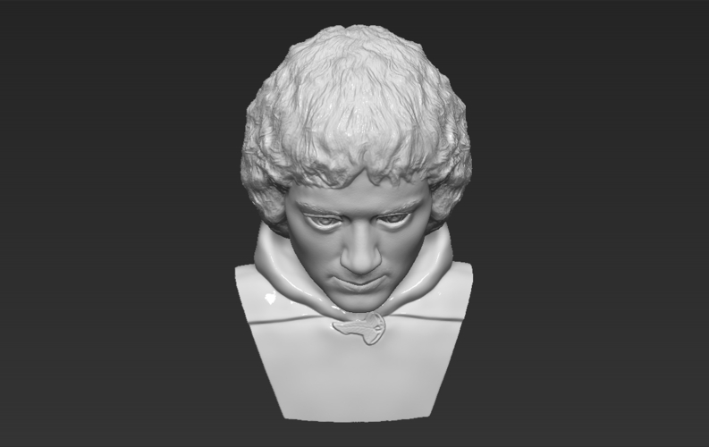 Frodo Baggins The Lord of the Rings bust 3D printing ready 3D Print 283165