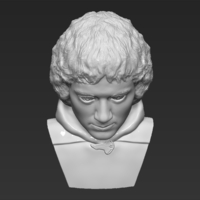 Frodo Baggins The Lord of the Rings bust 3D printing ready - Thumbnail 14