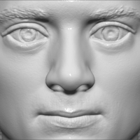 Frodo Baggins The Lord of the Rings bust 3D printing ready - Thumbnail 15