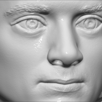Frodo Baggins The Lord of the Rings bust 3D printing ready - Thumbnail 16