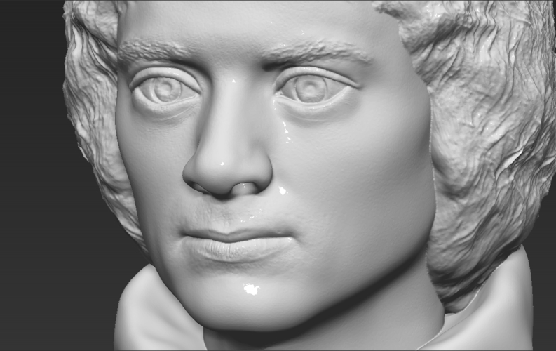 Frodo Baggins The Lord of the Rings bust 3D printing ready 3D Print 283168