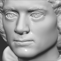 Frodo Baggins The Lord of the Rings bust 3D printing ready - Thumbnail 17