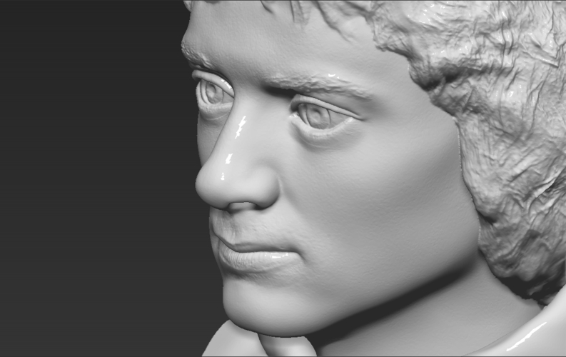 Frodo Baggins The Lord of the Rings bust 3D printing ready 3D Print 283169