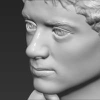 Frodo Baggins The Lord of the Rings bust 3D printing ready - Thumbnail 18