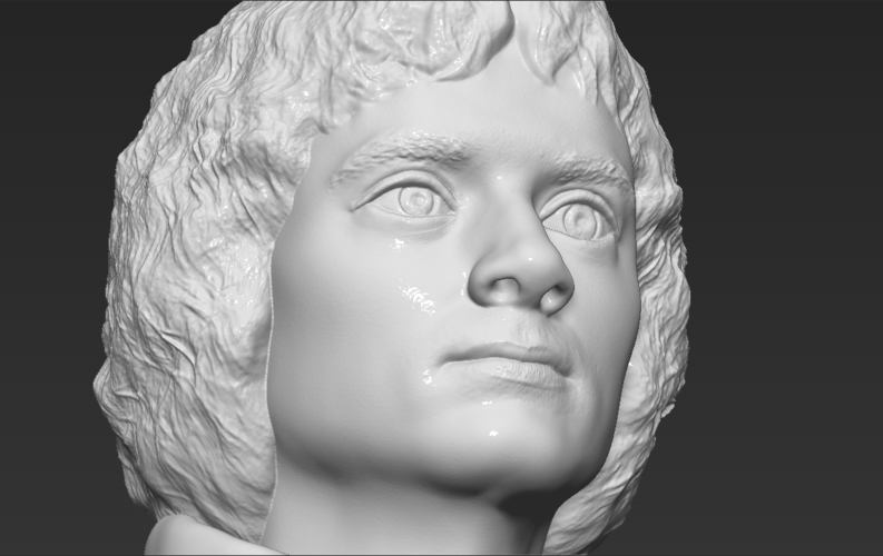 Frodo Baggins The Lord of the Rings bust 3D printing ready 3D Print 283170