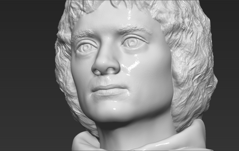 Frodo Baggins The Lord of the Rings bust 3D printing ready 3D Print 283171
