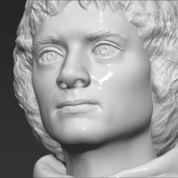 Frodo Baggins The Lord of the Rings bust 3D printing ready - Thumbnail 20