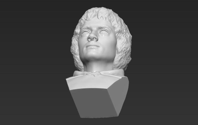 Frodo Baggins The Lord of the Rings bust 3D printing ready 3D Print 283172