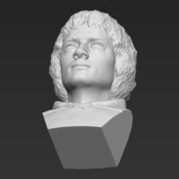 Frodo Baggins The Lord of the Rings bust 3D printing ready - Thumbnail 21