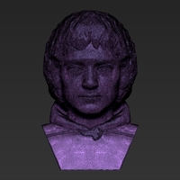 Frodo Baggins The Lord of the Rings bust 3D printing ready - Thumbnail 23