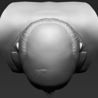 Mikhail Gorbachev bust 3D printing ready stl obj formats - Thumbnail 14