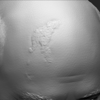 Mikhail Gorbachev bust 3D printing ready stl obj formats - Thumbnail 15