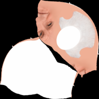Pope John Paul II bust ready for full color 3D printing - Thumbnail 20