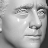 Michael Scott The Office bust 3D printing ready stl obj formats - Thumbnail 16