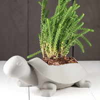 Turtle Planter - Thumbnail 2