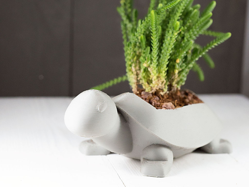 Turtle Planter